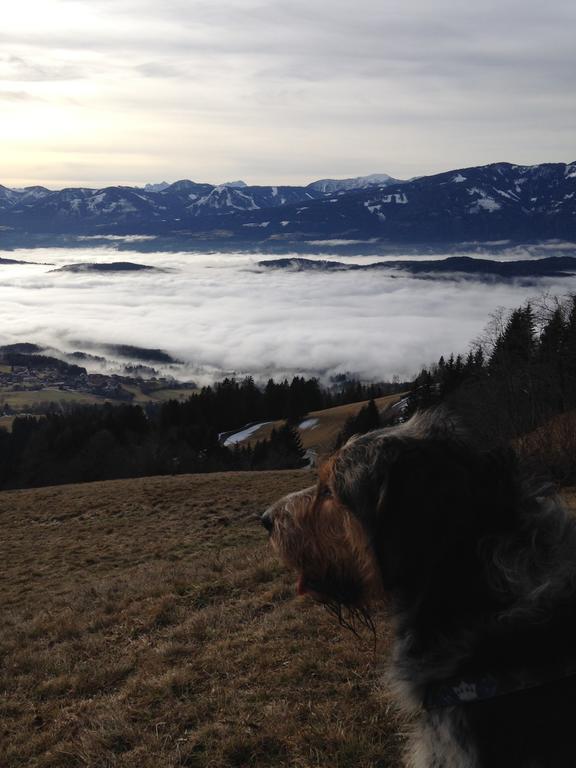 Ruhige Wohnung Mit Schoenem Eigengarten In Seeboden Am Millstaettersee ภายนอก รูปภาพ