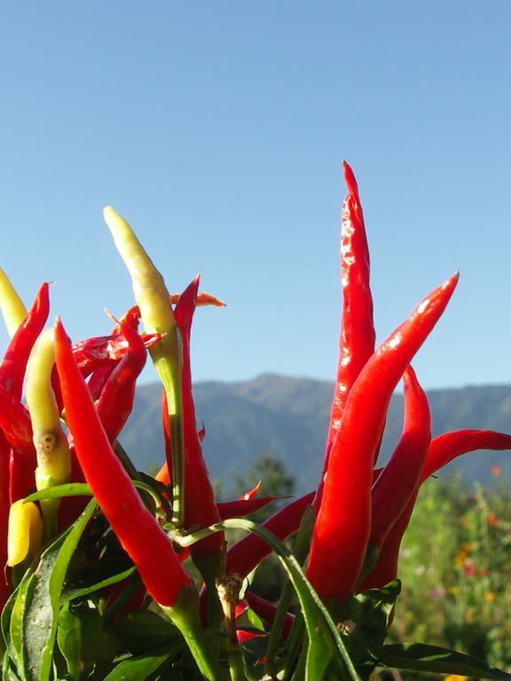 Ruhige Wohnung Mit Schoenem Eigengarten In Seeboden Am Millstaettersee ห้อง รูปภาพ
