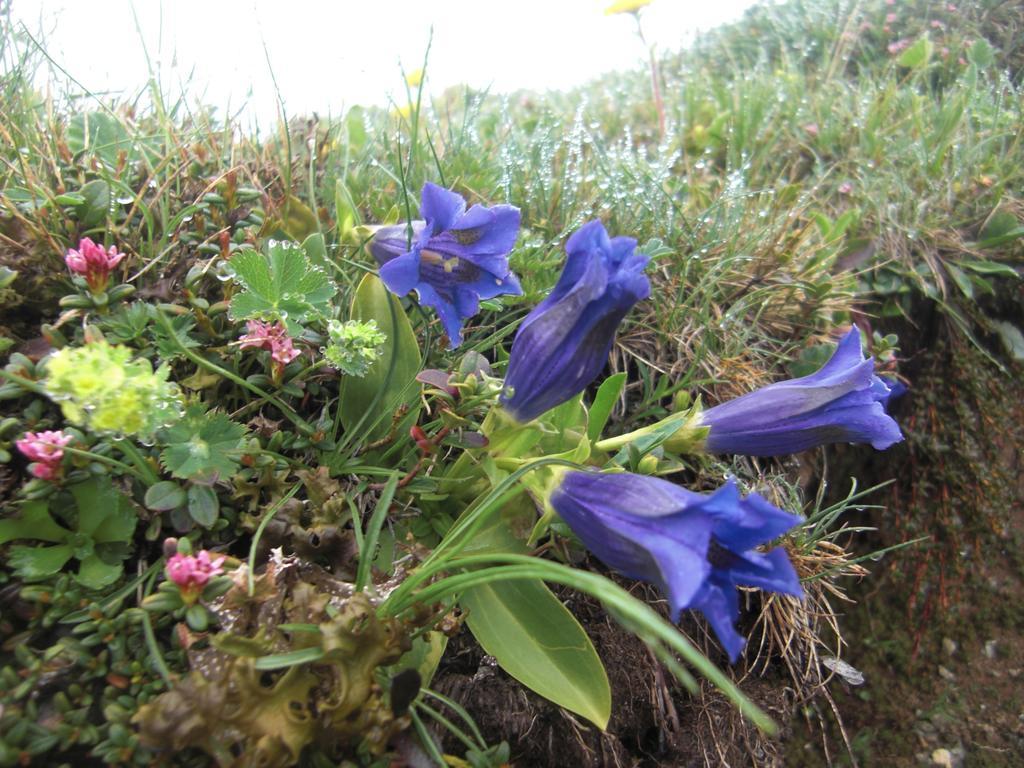 Ruhige Wohnung Mit Schoenem Eigengarten In Seeboden Am Millstaettersee ภายนอก รูปภาพ