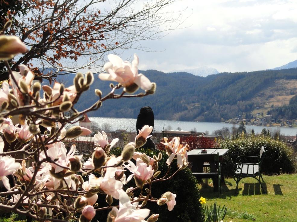 Ruhige Wohnung Mit Schoenem Eigengarten In Seeboden Am Millstaettersee ภายนอก รูปภาพ