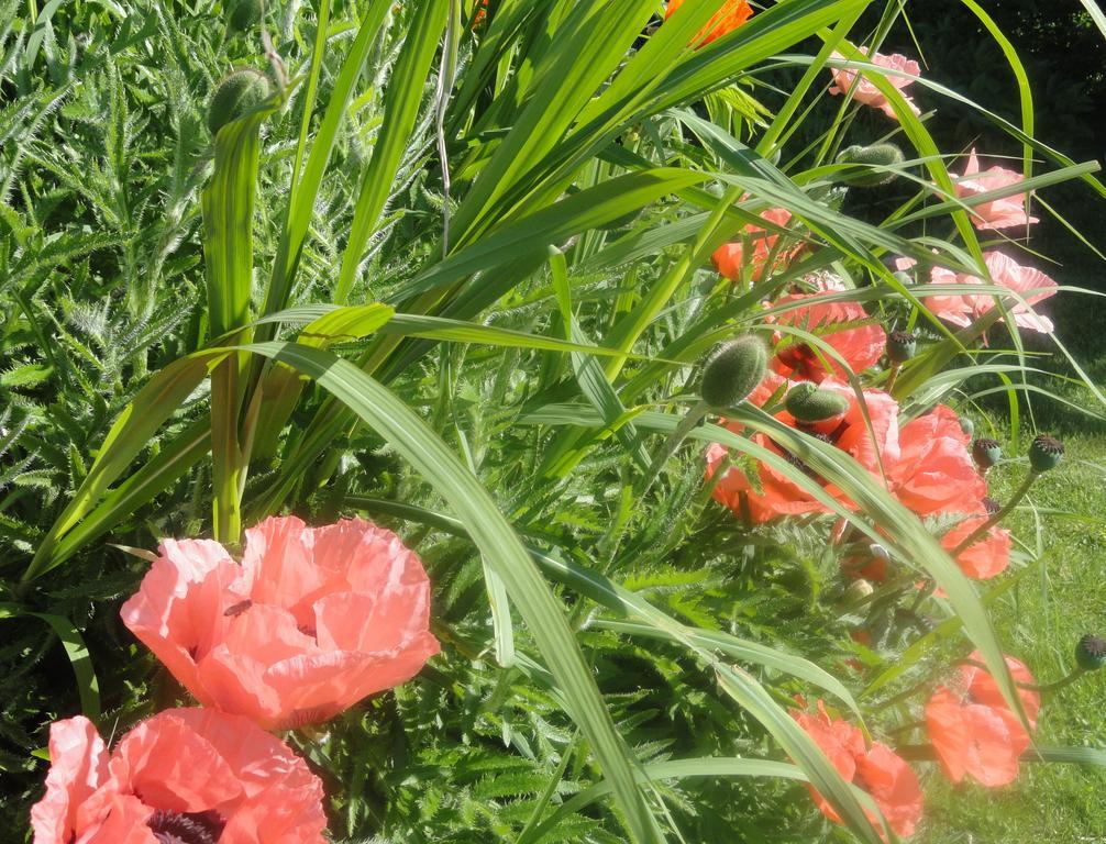 Ruhige Wohnung Mit Schoenem Eigengarten In Seeboden Am Millstaettersee ภายนอก รูปภาพ