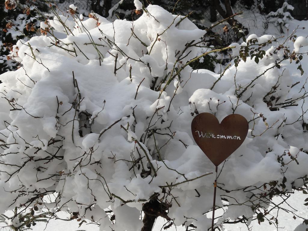 Ruhige Wohnung Mit Schoenem Eigengarten In Seeboden Am Millstaettersee ภายนอก รูปภาพ