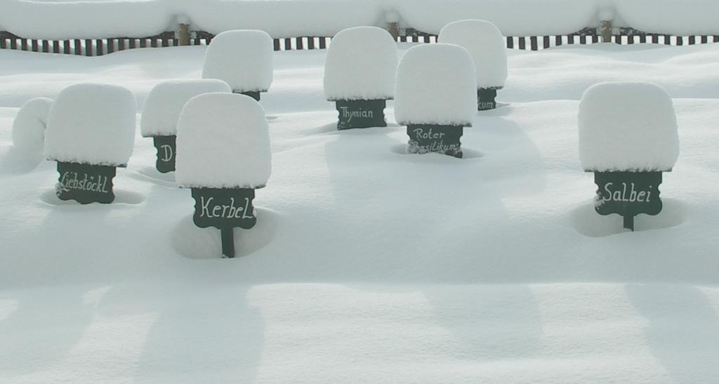 Ruhige Wohnung Mit Schoenem Eigengarten In Seeboden Am Millstaettersee ภายนอก รูปภาพ