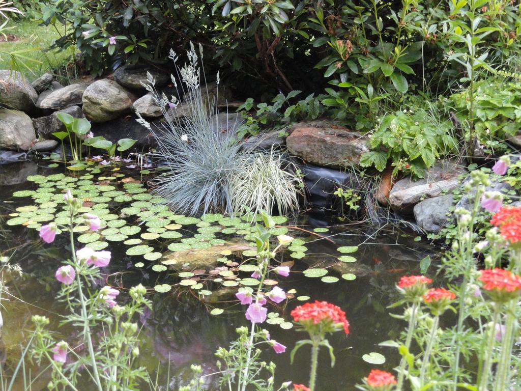 Ruhige Wohnung Mit Schoenem Eigengarten In Seeboden Am Millstaettersee ภายนอก รูปภาพ